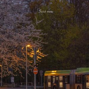 白丝护士女仆❌❌❌图
